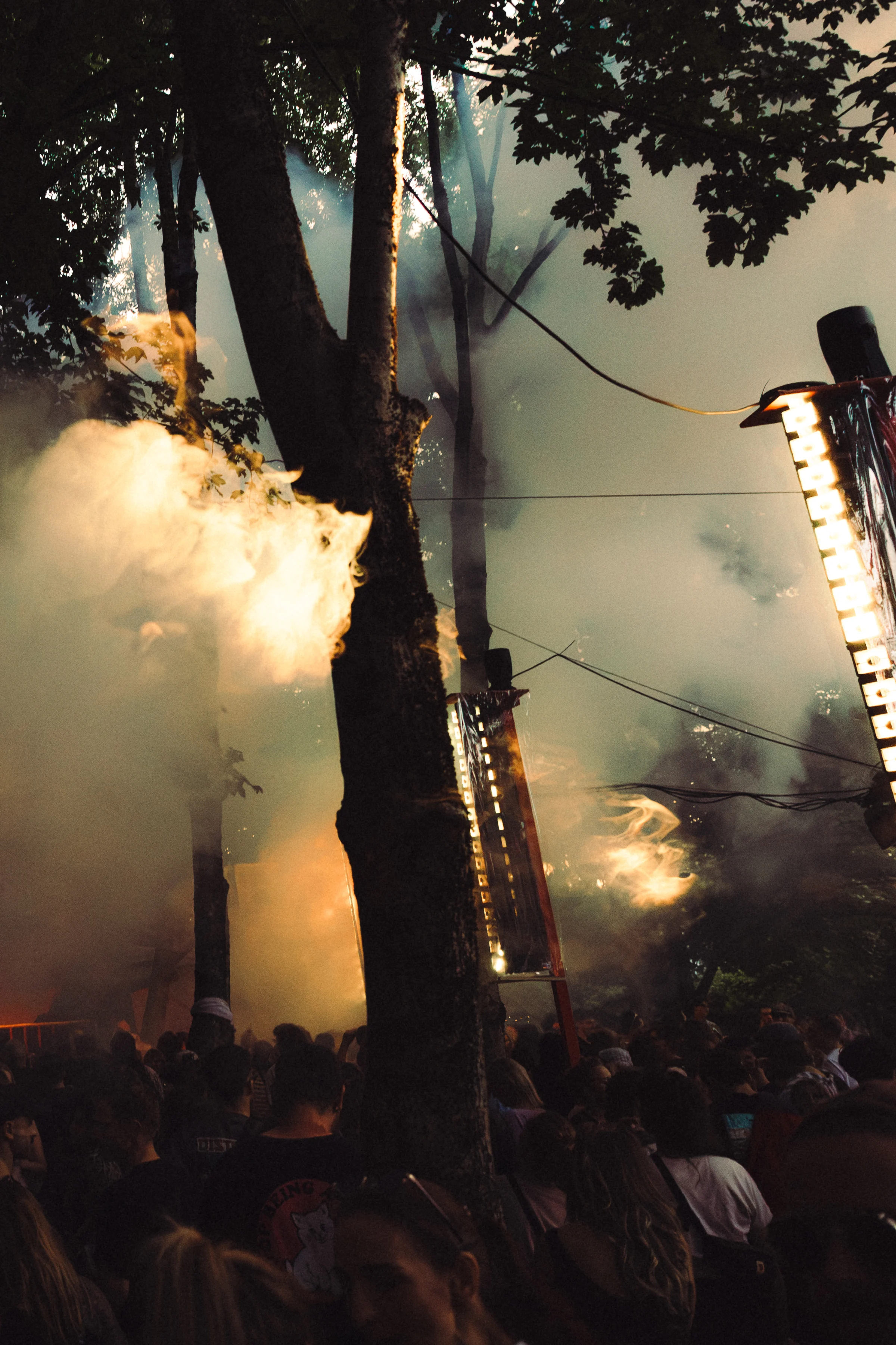 Goldener Nebel und Lichtstrahlen zwischen den Bäumen, darunter die Menschenmenge auf dem Festivalgelände.